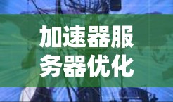 加速器服务器优化方案探索