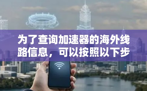 为了查询加速器的海外线路信息，可以按照以下步骤进行