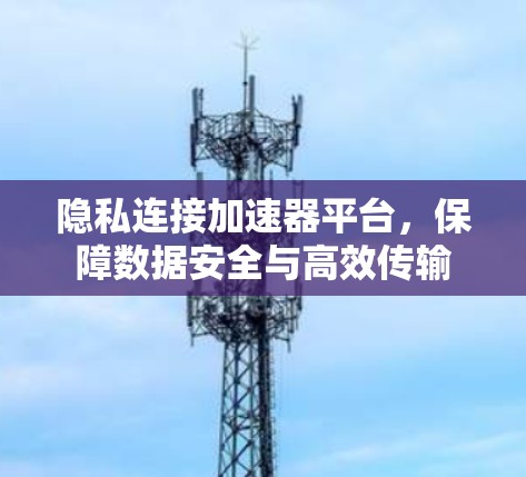 隐私连接加速器平台,保障数据安全与高效传输