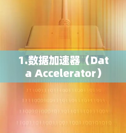 1.数据加速器（Data Accelerator）