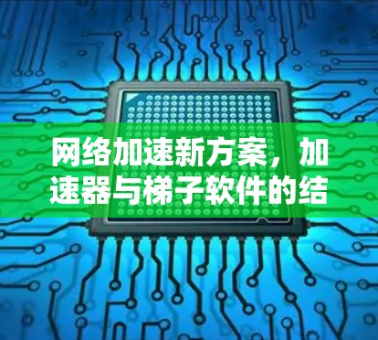 网络加速新方案，加速器与梯子软件的结合