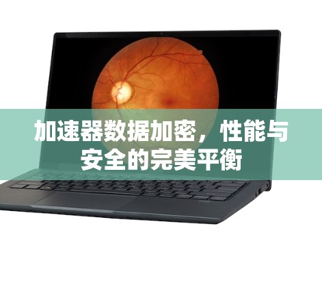 加速器数据加密,性能与安全的完美平衡