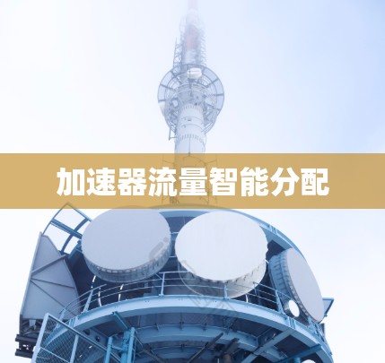 加速器流量智能分配