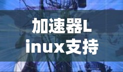 加速器Linux支持，性能优化与应用潜力