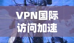 VPN国际访问加速技术探讨,从网络优化到业务创新