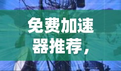 免费加速器推荐，高效网络优化方案
