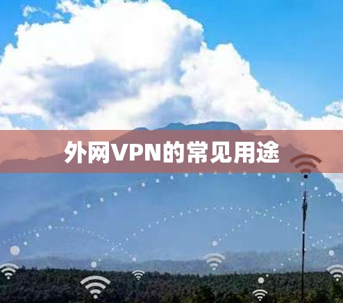 外网VPN的常见用途