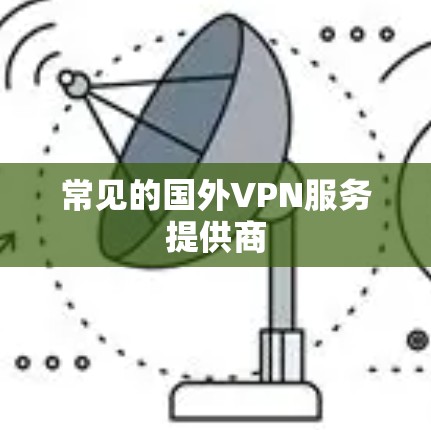 常见的国外VPN服务提供商