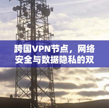 跨国VPN节点,网络安全与数据隐私的双重保障