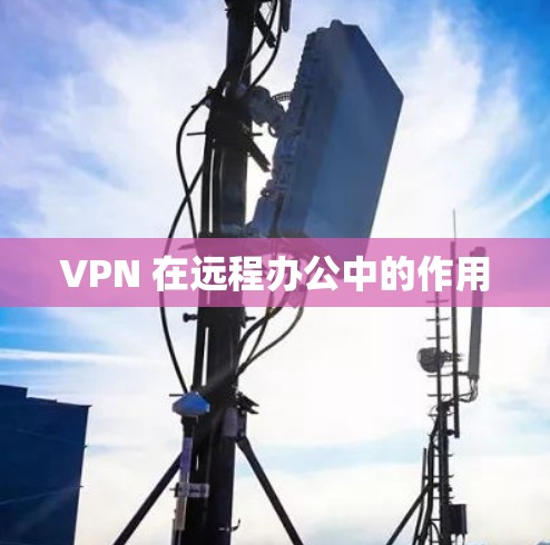 VPN 在远程办公中的作用
