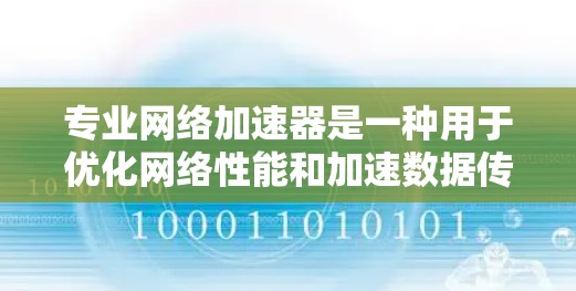 专业网络加速器是一种用于优化网络性能和加速数据传输的工具或技术。它通过多种方法来提高网络速度、减少延迟和提升整体性能，常见于企业网络、云服务、内容分发和大数据传输等场景