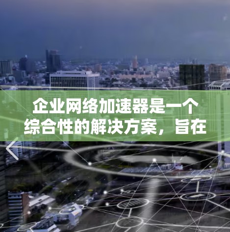 企业网络加速器是一个综合性的解决方案，旨在优化企业网络性能和稳定性。以下是其主要组成部分及其功能的详细解析