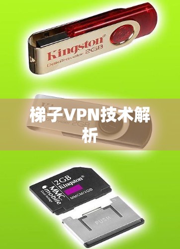 梯子VPN技术解析