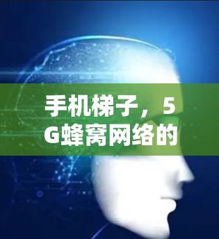 手机梯子，5G蜂窝网络的关键组成部分解析
