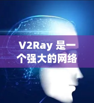 V2Ray 是一个强大的网络代理工具,能够有效提升网络连接速度。以下是使用 V2Ray 的步骤和注意事项