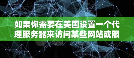 如果你需要在美国设置一个代理服务器来访问某些网站或服务，可以按照以下步骤操作