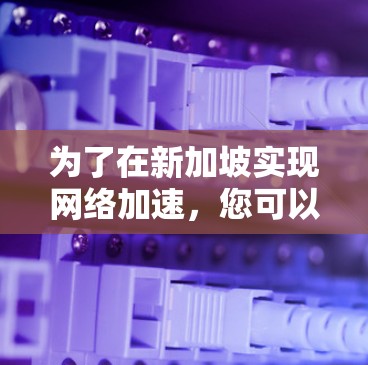 为了在新加坡实现网络加速，您可以按照以下步骤进行
