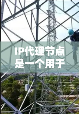 IP代理节点是一个用于在网络中匿名化和保护用户IP地址的中间设备,主要用于隐藏真实IP地址,防止追踪,以及匿名化网络流量。以下是对IP代理节点的详细分析和总结