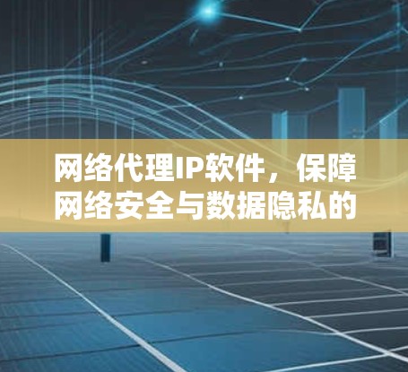 网络代理IP软件，保障网络安全与数据隐私的高效解决方案