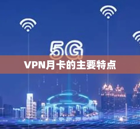 VPN月卡的主要特点