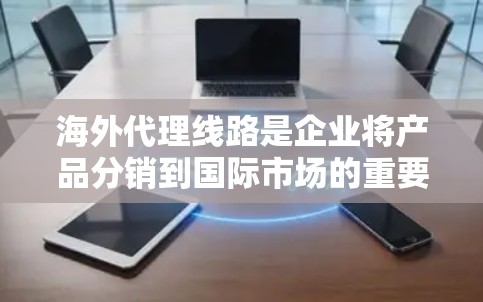 海外代理线路是企业将产品分销到国际市场的重要方式，通过与海外代理商合作，帮助企业进入新市场，实现业务扩展。以下是对海外代理线路的详细分析