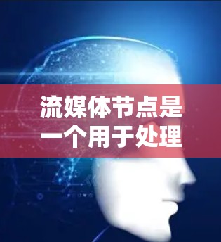 流媒体节点是一个用于处理和传输多媒体数据的关键组件，通常用于视频或音频流的分布和播放。以下是对流媒体节点的详细分析