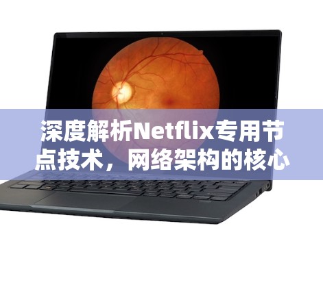 深度解析Netflix专用节点技术，网络架构的核心创新
