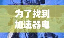 为了找到加速器电脑版的官网并安全下载软件，请按照以下步骤操作
