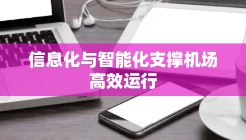 信息化与智能化支撑机场高效运行 信息化与智能化支撑机场高效运行