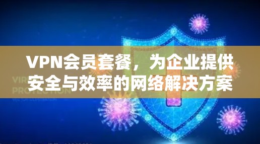VPN会员套餐，为企业提供安全与效率的网络解决方案