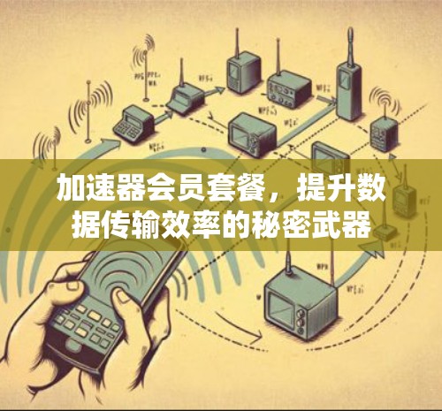 加速器会员套餐，提升数据传输效率的秘密武器