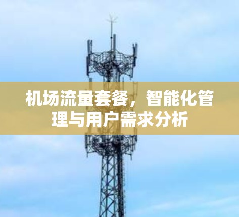 机场流量套餐，智能化管理与用户需求分析