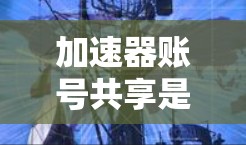 加速器账号共享是一种优化资源利用的策略，适用于多租户环境，允许多个用户在同一加速器上运行任务，同时共享账号资源。以下是对此问题的总结和分析