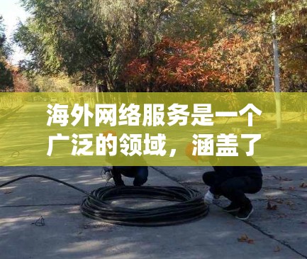 海外网络服务是一个广泛的领域，涵盖了多种网络技术和服务类型。以下是一些常见的海外网络服务及其应用