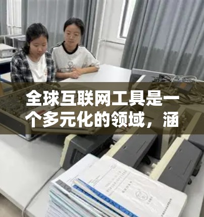 全球互联网工具是一个多元化的领域，涵盖了各种服务、软件和平台，用于满足不同的需求。以下是一些在全球范围内广泛使用的互联网工具，按类别分类