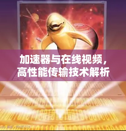 加速器与在线视频,高性能传输技术解析