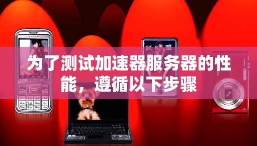 为了测试加速器服务器的性能，遵循以下步骤