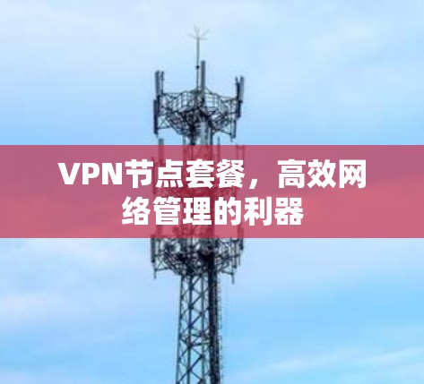 VPN节点套餐,高效网络管理的利器 VPN节点套餐,高效网络管理的利器