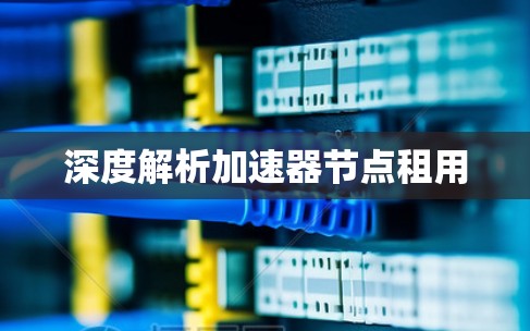 深度解析加速器节点租用 深度解析加速器节点租用