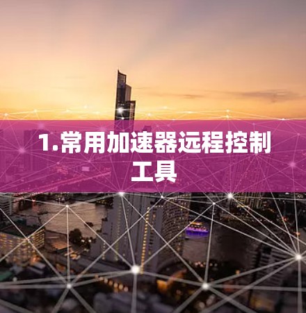1.常用加速器远程控制工具