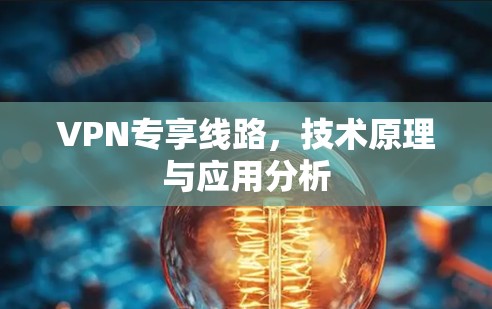 VPN专享线路,技术原理与应用分析