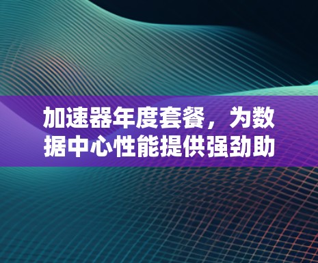 加速器年度套餐，为数据中心性能提供强劲助力