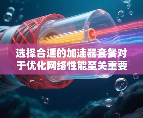 选择合适的加速器套餐对于优化网络性能至关重要,以下是针对不同需求的加速器套餐比较和建议