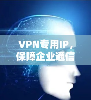 VPN专用IP，保障企业通信安全