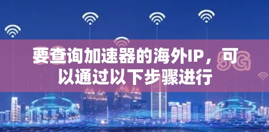 要查询加速器的海外IP,可以通过以下步骤进行