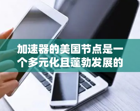 加速器的美国节点是一个多元化且蓬勃发展的生态系统，涵盖了从硬件到软件的各个层面，广泛应用于多个行业。以下是对美国加速器生态系统的详细分析