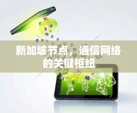 新加坡节点,通信网络的关键枢纽