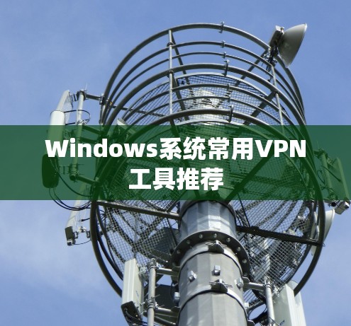 Windows系统常用VPN工具推荐