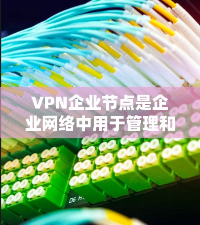 VPN企业节点是企业网络中用于管理和提供VPN服务的关键组件，负责接收和处理外部用户的连接请求，并确保网络的安全性和稳定性。以下是对VPN企业节点的详细分析