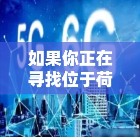 如果你正在寻找位于荷兰的VPN节点，以下是一些关键信息和建议，帮助你更好地理解和选择适合你的VPN服务